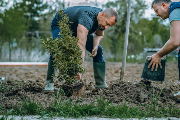 Lawn Irrigation Installation and Maintenance in Potosi, TX